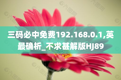 三码必中免费192.168.0.1,英最确析_不求甚解版HJ89