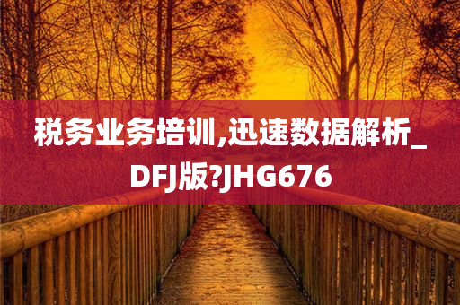 税务业务培训,迅速数据解析_DFJ版?JHG676