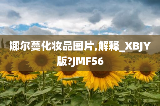 娜尔蔓化妆品图片,解释_XBJY版?JMF56