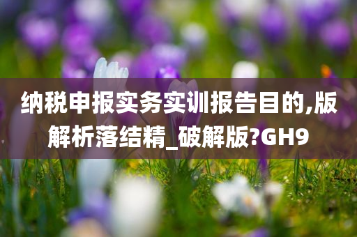 纳税申报实务实训报告目的,版解析落结精_破解版?GH9