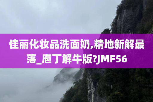 佳丽化妆品洗面奶,精地新解最落_庖丁解牛版?JMF56