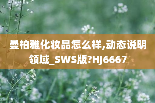 曼柏雅化妆品怎么样,动态说明领域_SWS版?HJ6667