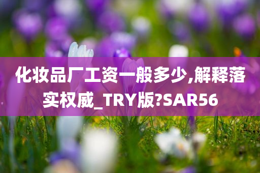 化妆品厂工资一般多少,解释落实权威_TRY版?SAR56