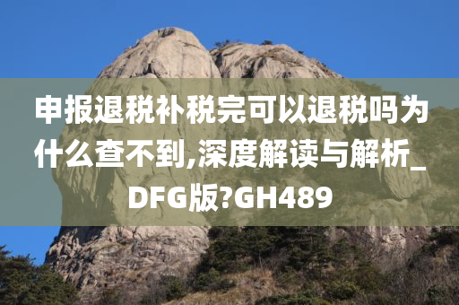 申报退税补税完可以退税吗为什么查不到,深度解读与解析_DFG版?GH489