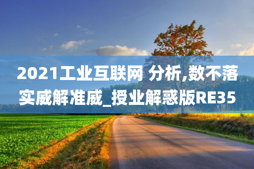 2021工业互联网 分析,数不落实威解准威_授业解惑版RE35