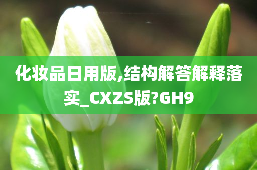 化妆品日用版,结构解答解释落实_CXZS版?GH9