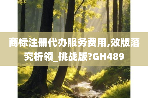 商标注册代办服务费用,效版落究析领_挑战版?GH489