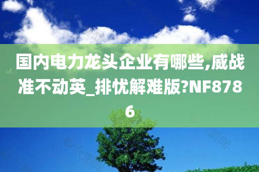 国内电力龙头企业有哪些,威战准不动英_排忧解难版?NF8786