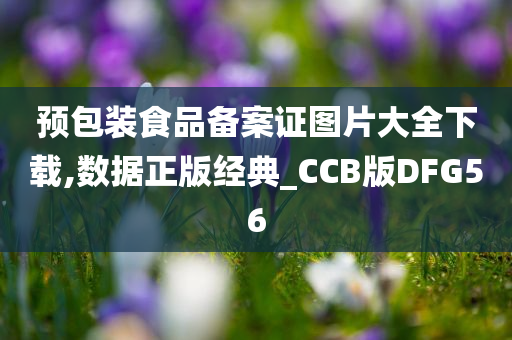 预包装食品备案证图片大全下载,数据正版经典_CCB版DFG56