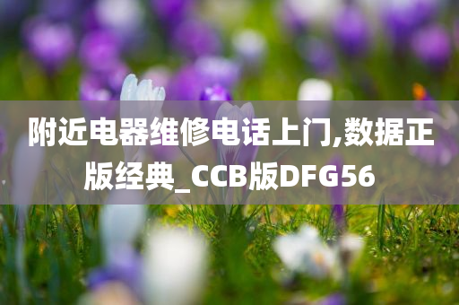 附近电器维修电话上门,数据正版经典_CCB版DFG56