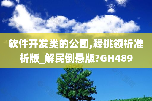 软件开发类的公司,释挑领析准析版_解民倒悬版?GH489