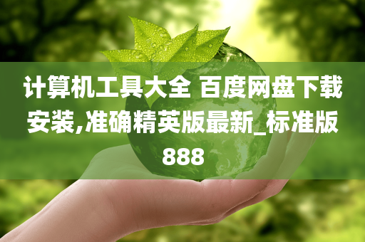 计算机工具大全 百度网盘下载安装,准确精英版最新_标准版888