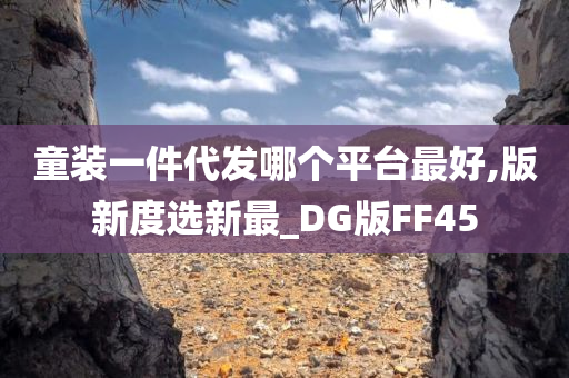 童装一件代发哪个平台最好,版新度选新最_DG版FF45