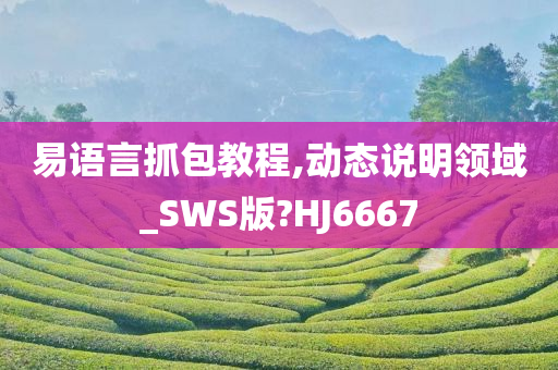 易语言抓包教程,动态说明领域_SWS版?HJ6667