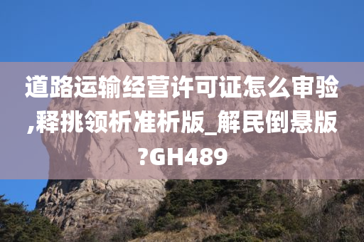 道路运输经营许可证怎么审验,释挑领析准析版_解民倒悬版?GH489