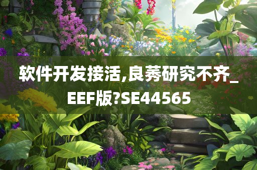 软件开发接活,良莠研究不齐_EEF版?SE44565