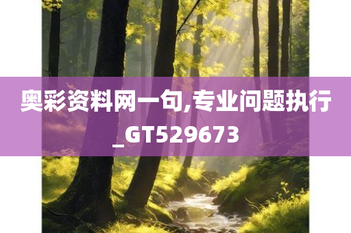 奥彩资料网一句,专业问题执行_GT529673