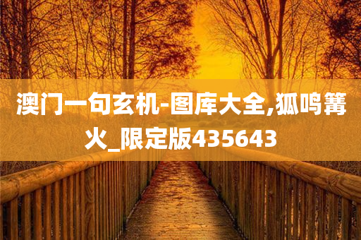 澳门一句玄机-图库大全,狐鸣篝火_限定版435643