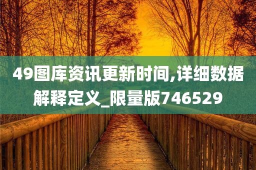 49图库资讯更新时间,详细数据解释定义_限量版746529