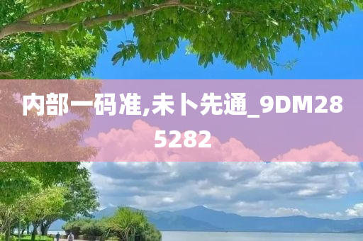 内部一码准,未卜先通_9DM285282