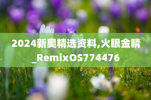 2024新奥精选资料,火眼金睛_RemixOS774476