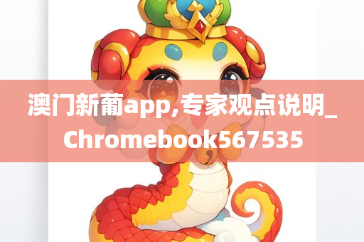 澳门新葡app,专家观点说明_Chromebook567535