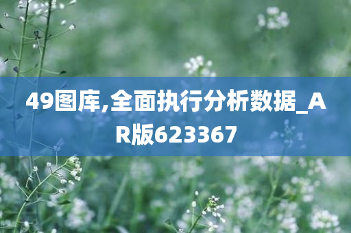 49图库,全面执行分析数据_AR版623367