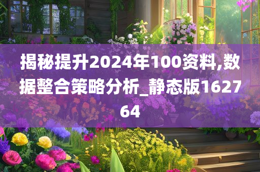 揭秘提升2024年100资料,数据整合策略分析_静态版162764