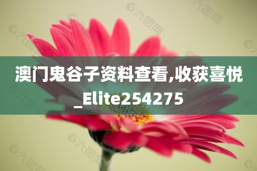 澳门鬼谷子资料查看,收获喜悦_Elite254275