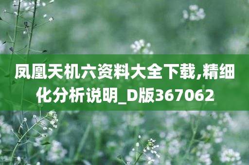 凤凰天机六资料大全下载,精细化分析说明_D版367062