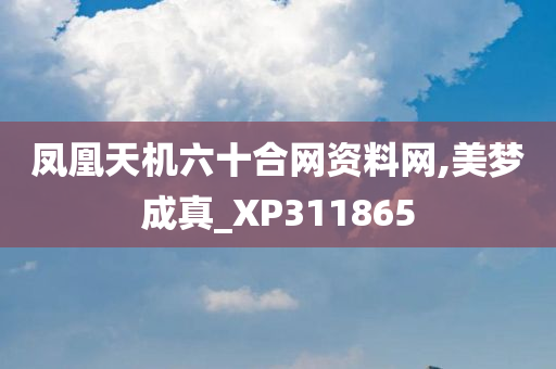 凤凰天机六十合网资料网,美梦成真_XP311865