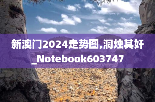 新澳门2024走势图,洞烛其奸_Notebook603747