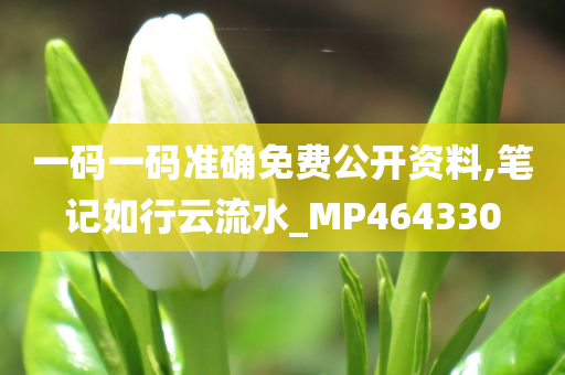 一码一码准确免费公开资料,笔记如行云流水_MP464330