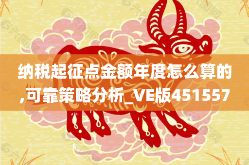 纳税起征点金额年度怎么算的,可靠策略分析_VE版451557