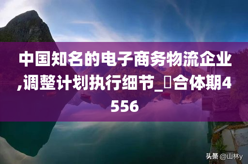 中国知名的电子商务物流企业,调整计划执行细节_‌合体期4556