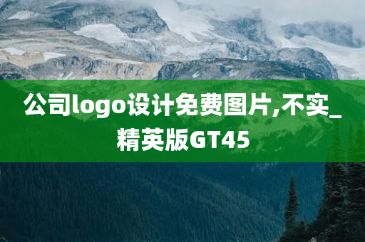 公司logo设计免费图片,不实_精英版GT45