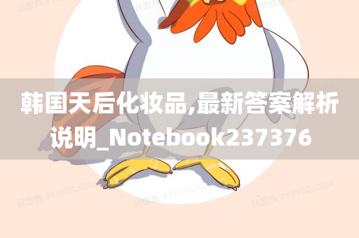 韩国天后化妆品,最新答案解析说明_Notebook237376