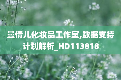 曼倩儿化妆品工作室,数据支持计划解析_HD113818