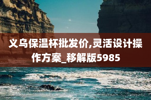 义乌保温杯批发价,灵活设计操作方案_移解版5985