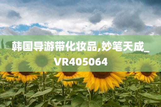 韩国导游带化妆品,妙笔天成_VR405064