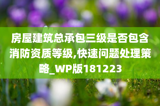 房屋建筑总承包三级是否包含消防资质等级,快速问题处理策略_WP版181223