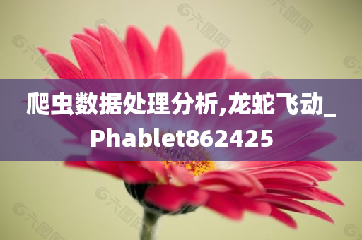 爬虫数据处理分析,龙蛇飞动_Phablet862425