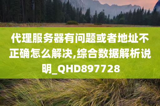 代理服务器有问题或者地址不正确怎么解决,综合数据解析说明_QHD897728