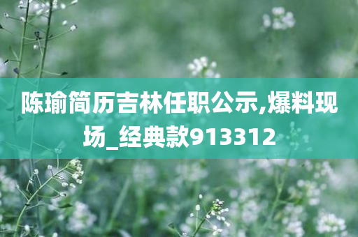 陈瑜简历吉林任职公示,爆料现场_经典款913312