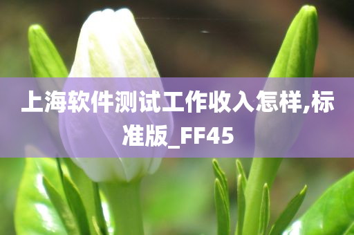 上海软件测试工作收入怎样,标准版_FF45