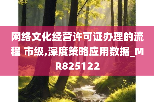 网络文化经营许可证办理的流程 市级,深度策略应用数据_MR825122