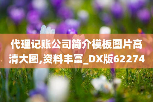 代理记账公司简介模板图片高清大图,资料丰富_DX版622740