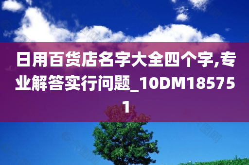 日用百货店名字大全四个字,专业解答实行问题_10DM185751