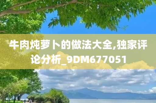 牛肉炖萝卜的做法大全,独家评论分析_9DM677051