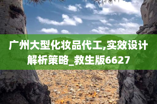 广州大型化妆品代工,实效设计解析策略_救生版6627